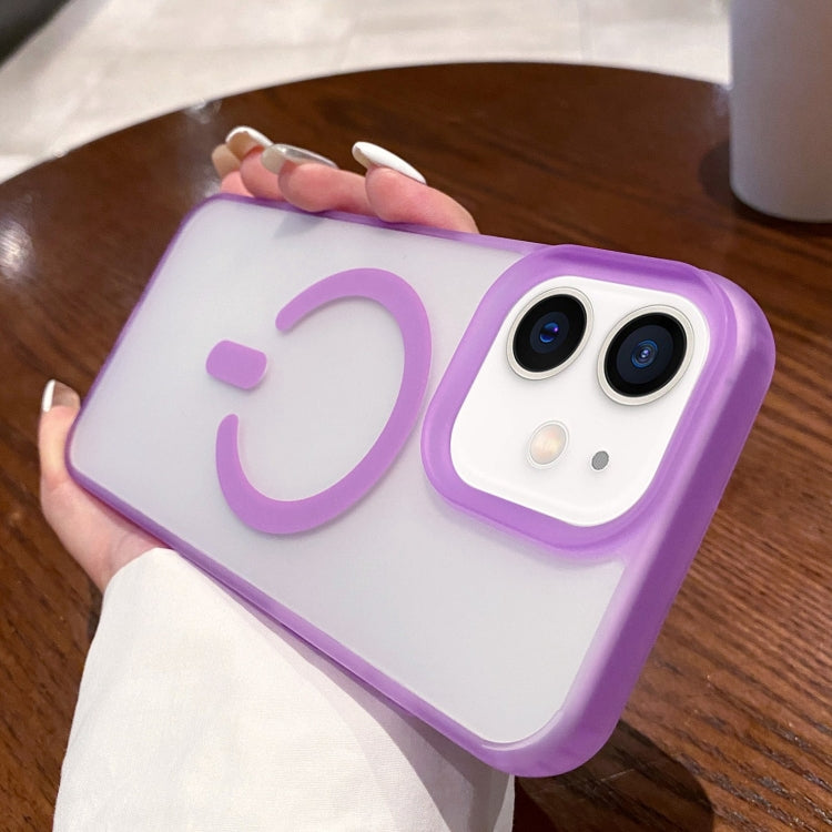 Dual-Side Frosted MagSafe Clear Phone Case, For iPhone 13 Pro Max, For iPhone 13 Pro, For iPhone 13, For iPhone 12, For iPhone 12 Pro Max, For iPhone 12 Pro, For iPhone 11