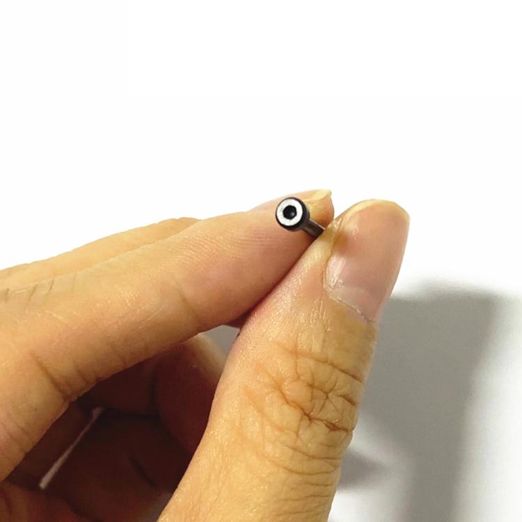 1 Pair Hex Socket Replacement Lug Rod with Screwdriver, For Amazfit T-Rex