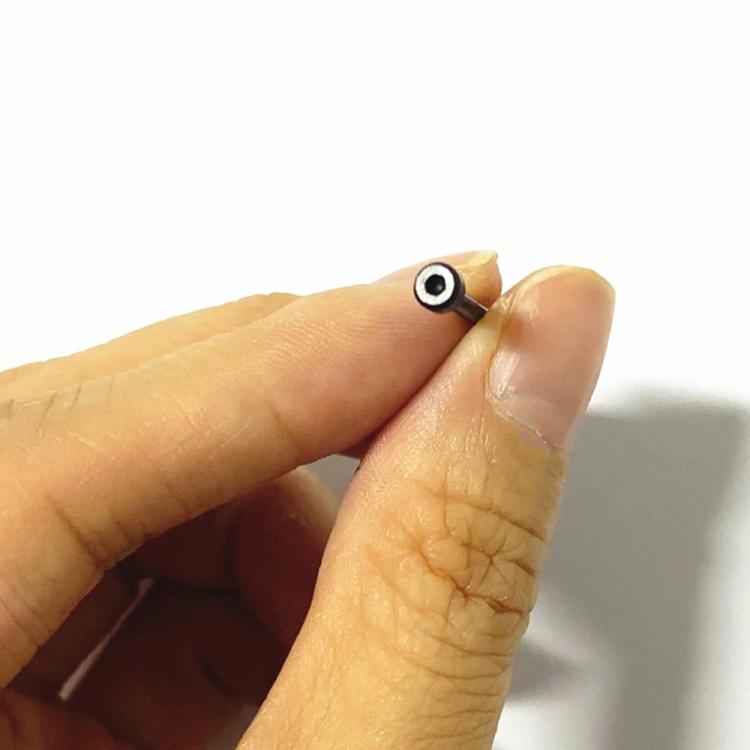 1 Pair Watch Band Replacement Lug Rod with Screwdriver, For Amazfit T-Rex Ultra