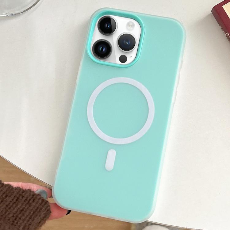 Skin Feel MagSafe Magnetic PC Hybrid TPU Phone Case, For iPhone 12 Pro, For iPhone 11