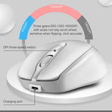 ZGB 361 2.4G Wireless Chargeable Mini Mouse 1600dpi