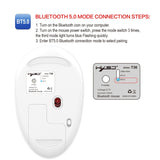 HXSJ T36 2.4G Bluetooth 5.0+3.0 Three-mode Silent Design Wireless Bluetooth Mouse