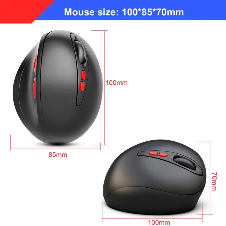HXSJ T33 2.4GHz Ergonomic Optical Wireless Notebook PC Mouse