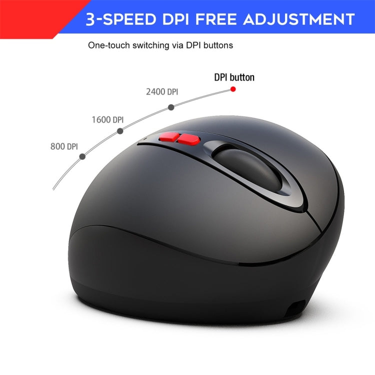 HXSJ T33 2.4GHz Ergonomic Optical Wireless Notebook PC Mouse