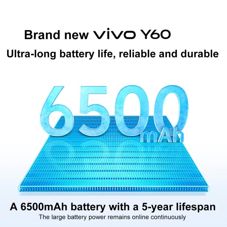 vivo Y60, 8GB+256GB, Side Fingerprint, 6.74 inch Android 16 OriginOS 6 Snapdragon 4 Gen 2 Octa Core, OTG, Network: 5G, 8GB+256GB