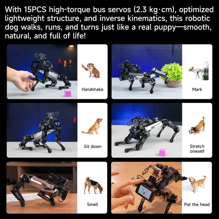 YAHBOOM DOGZILLA-Lite AI-Powered Bionic Robotic Dog 15-DOF Desktop Companion With Robotic Arm, Raspberry Pi Controlled, Multimodal AI & Visual Interaction